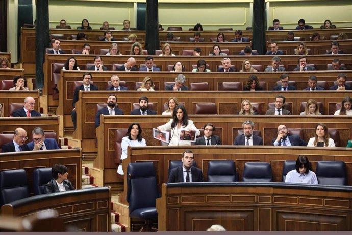 La portavoz de VOX en el Congreso, Pepa Millán, interviene durante una sesión de control al Gobierno, en el Congreso de los Diputados, a 24 de abril de 2024, en Madrid (España).