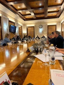 La directora general de Familias, Infancia y Conciliación, Luisa Lozano, participó hoy en la reunión de la Comisión Sectorial de Infancia y Adolescencia