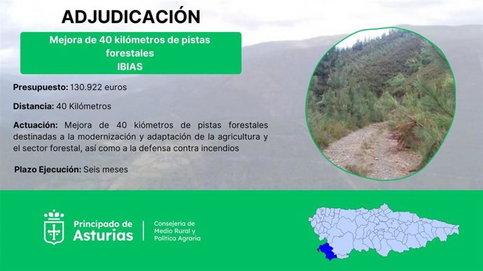 Adjudicación de la reaparación de pistas forestales en Ibias.