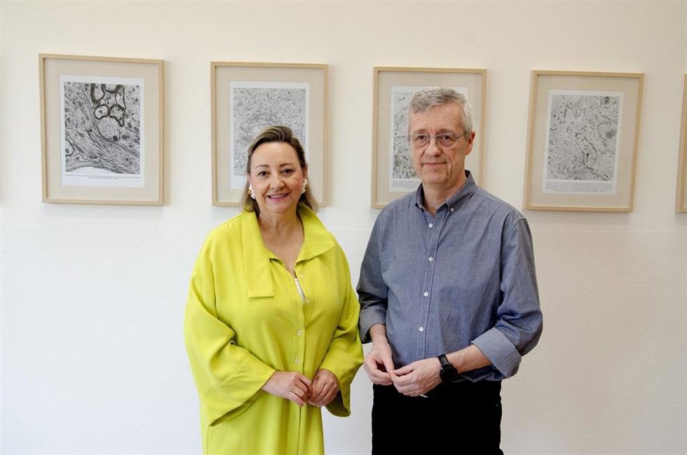 Ángela Nieto y Juan Galcerán, profesora de investigación e investigador, respectivamente, del Instituto de Neurociencias (IN, CSIC  Universidad Miguel Hernández)