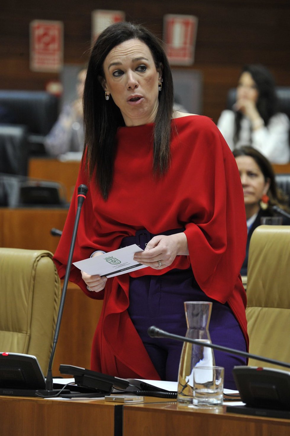 La consejera de Salud y Servicios Sociales, Sara García Espada, en el pleno de la Asamblea