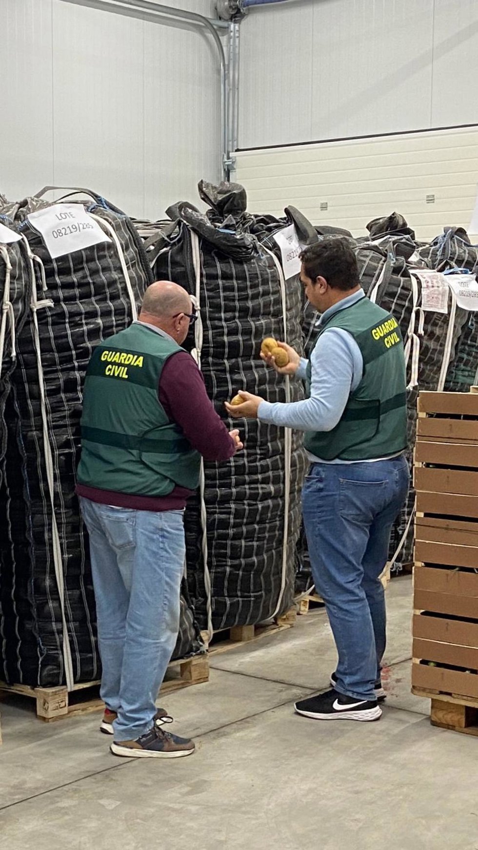 Guardias civiles inspeccionan patatas etiquetadas fraudulentamente