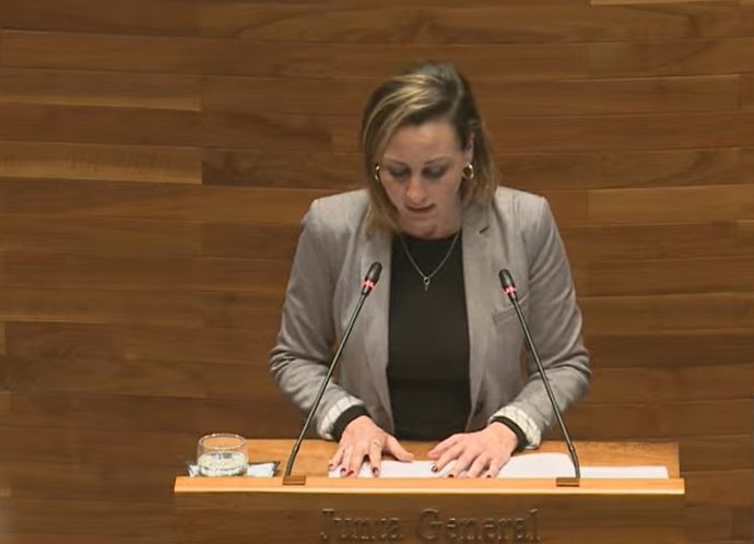 Archivo - La diputada de IU-Convocatoria por Asturias, Delia Campomanes