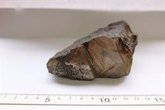Foto: Descubren que el meteorito de Cuba del Museo Nacional de Ciencias Naturales es en realidad un resto de fundición