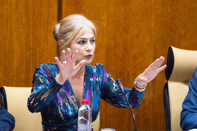 La consejera de Desarrollo Educativo y Formación Profesional, Patricia del Pozo, en la comisión parlamentaria del 25 de abril de 2024.