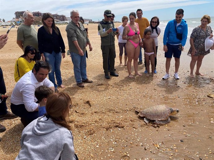 Suelta de la tortuga 'Manuela' en Punta Umbría (Huelva) tras ser rehabilitada.