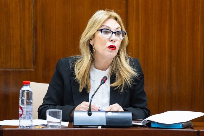 La consejera de Economía, Hacienda y Fondos Europeos, Carolina España, en comisión parlamentaria.