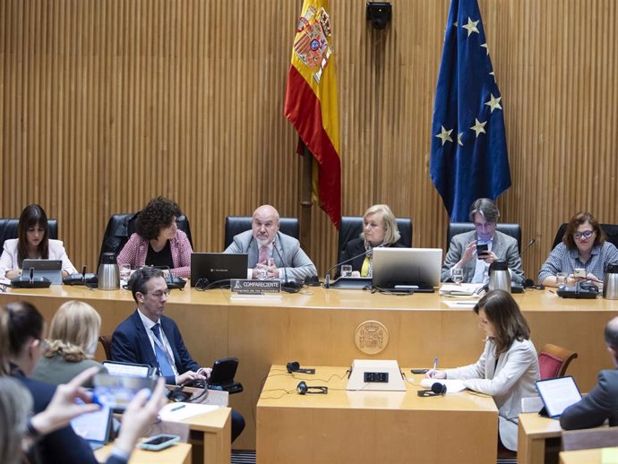 El presidente del Comité Español de Representantes de Personas con Discapacidad (CERMI), Luis Cayo Pérez Bueno, ha solicitado al Congreso "el apoyo y el impulso" para la materialización de los mandatos del nuevo nuevo artículo 49 de la Constitución