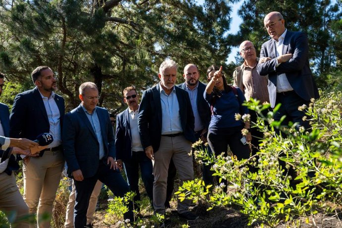 El ministro de Política Territorial y Memoria Democrática, Ángel Víctor Torres, en una visita a la fosa de Fuencaliente