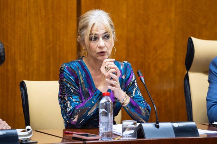 La consejera de Desarrollo Educativo y Formación Profesional, Patricia del Pozo, en la comisión parlamentaria del 25 de abril de 2024.