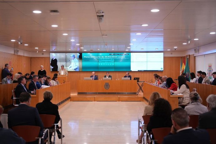 Pleno de la Diputación correspondiente al mes de abril.