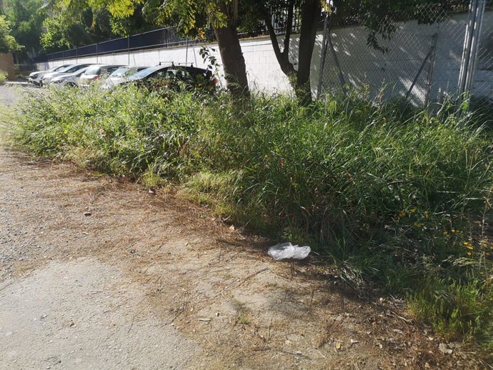 Hierbas en uno de los centros educativos del distrito Norte señalados por el PSOE