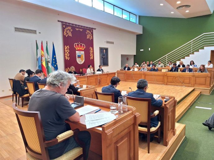 Sesión plenaria en el Ayuntamiento de Torremolinos.