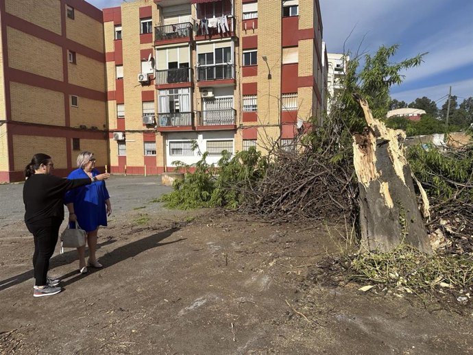 La concejal de La Izquierda de Huelva (Izquierda Unida, Podemos, Iniciativa del Pueblo Andaluz) en el Ayuntamiento de la capital, Mónica Rossi, durante su visita a la barriada de Huerto Paco.