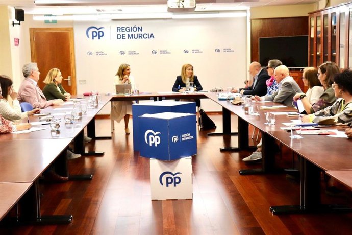 La vicesecretaria de Política Social y Estado de Bienestar del PP de la Región, Conchita Ruiz, y la vicesecretaria de Igualdad, Conciliación y Política Social del PP nacional, Ana Alós, en una reunión con representantes deL CERMI