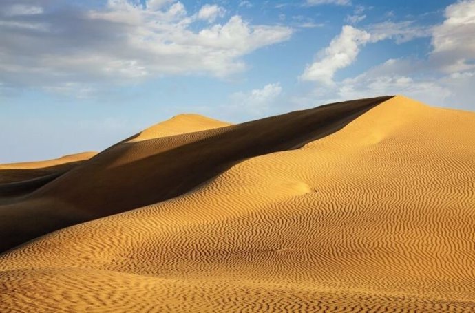 Dunas de arena en el desierto de Rajastan,  India