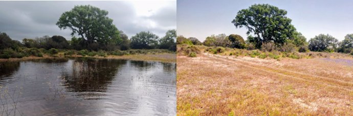 A la izquierda, laguna de La Dehesa el 5 de abril. A la derecha, mismo lugar, diez días después.