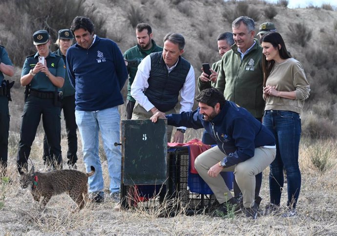 El presidente del Gobierno regional, Fernando López Miras, participa en la suelta de dos nuevos ejemplares de lince ibérico en las Tierras Altas de Lorca