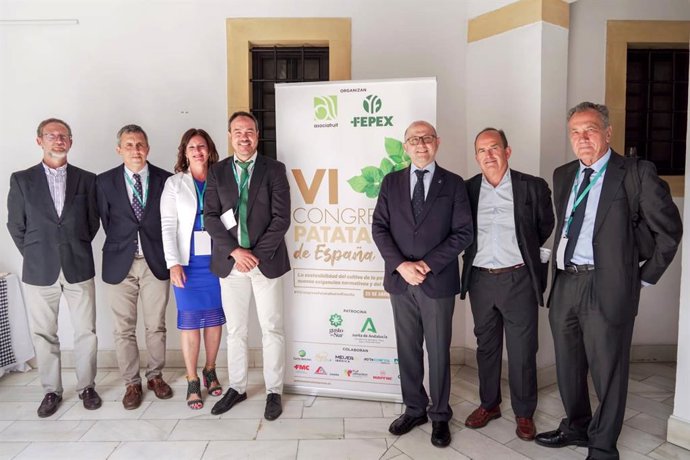 La Junta destaca la calidad y precocidad de la patata andaluza, un sector muy profesionalizado