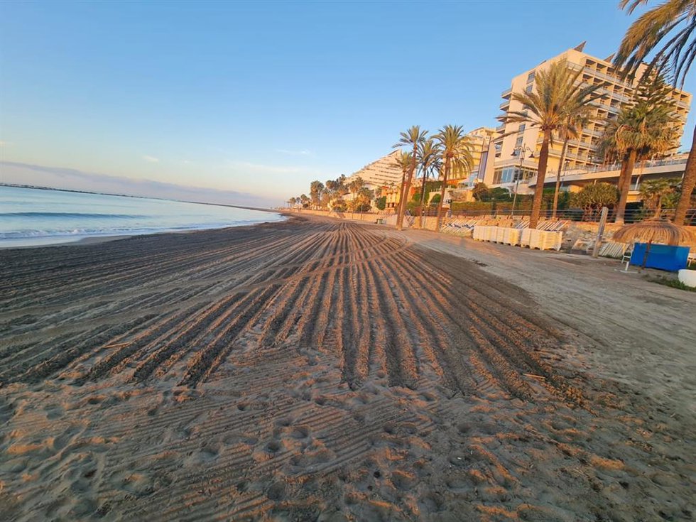 Retiran unas 400 toneladas de alga asiática en las playas de Benalmádena en nueve meses