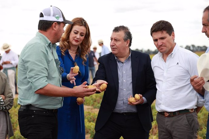 Javier Fernández en el comienzo de la cosecha de la patata nueva