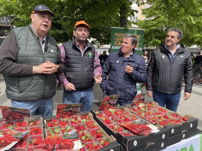 UPA Andalucía ha repartido fresas a los zaragozanos en la plaza de España.