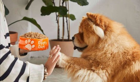 Comunicados Sociedad