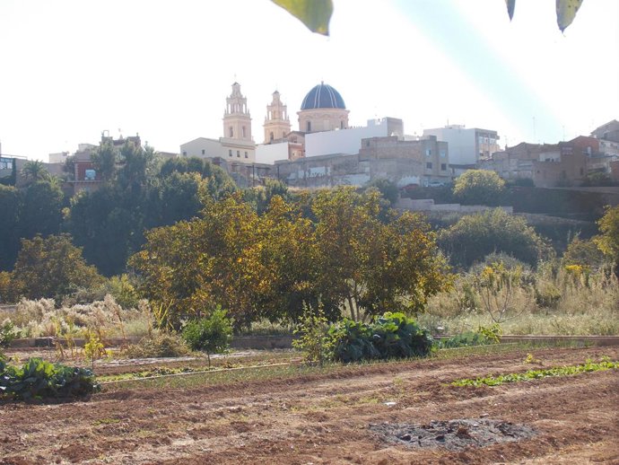 Panormica de Riba-roja