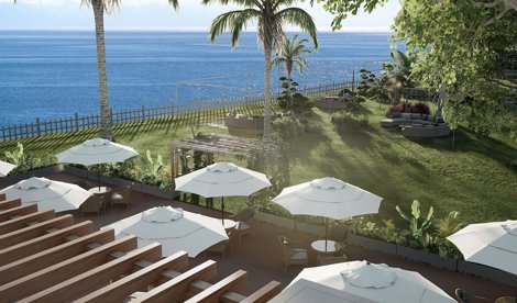 Comunicados Sociedad