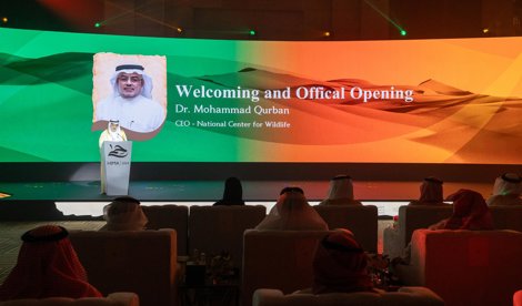 Comunicados Internacional