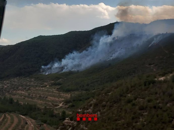 Imagen del incendio en La Pobla de Massaluca (Tarragona)
