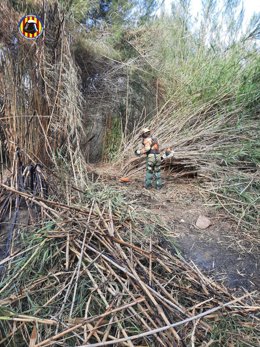 Bomberos trabajan en un incendio forestal declarado en Riba-roja (Valencia)