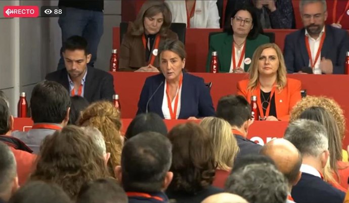 La presidenta del Comité Federal del PSOE y secretaria general de la Agrupación del PSOE de la ciudad de Toledo, Milagros Tolón.