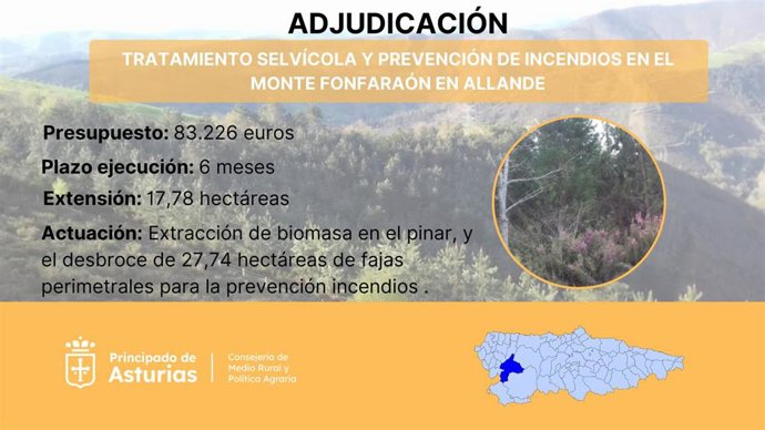 El Principado invertirá más de 83.000 euros en la aplicación de tratamientos silvícolas en el monte Fonfaraón
