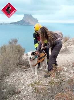 Rescatan a un perro tras quedar atrapado en una zona rocosa en Calp