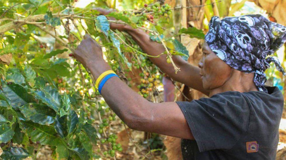 200.000 De Solidaridad Destino A Burkina Faso, Haití, Cabo Verde, Chad Y Bolivia