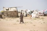 Foto: El Consejo de Seguridad de la ONU se muestra preocupado ante la posibilidad de un ataque "inminente" en Darfur Norte
