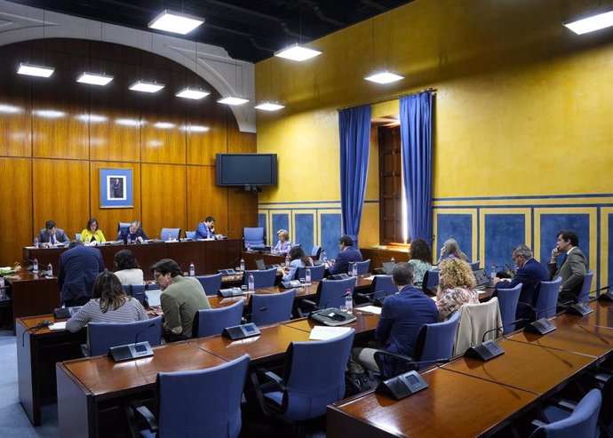 Vista general de la comisión de Salud y Consumo del Parlamento andaluz. (Foto de archivo).