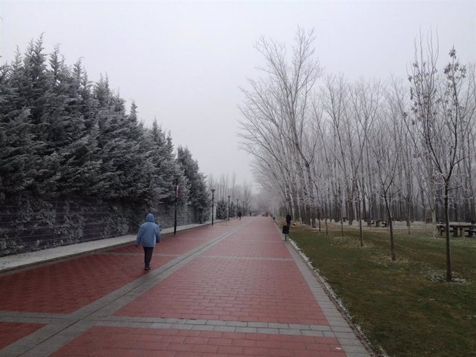 Archivo - Frío y niebla en Valladolid