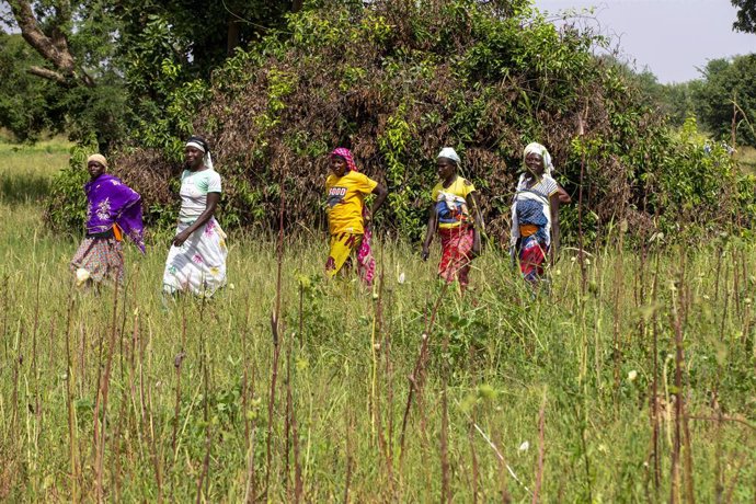 Archivo - Varias mujeres en un campo en Ouahigouya, Burkina Faso (archivo)