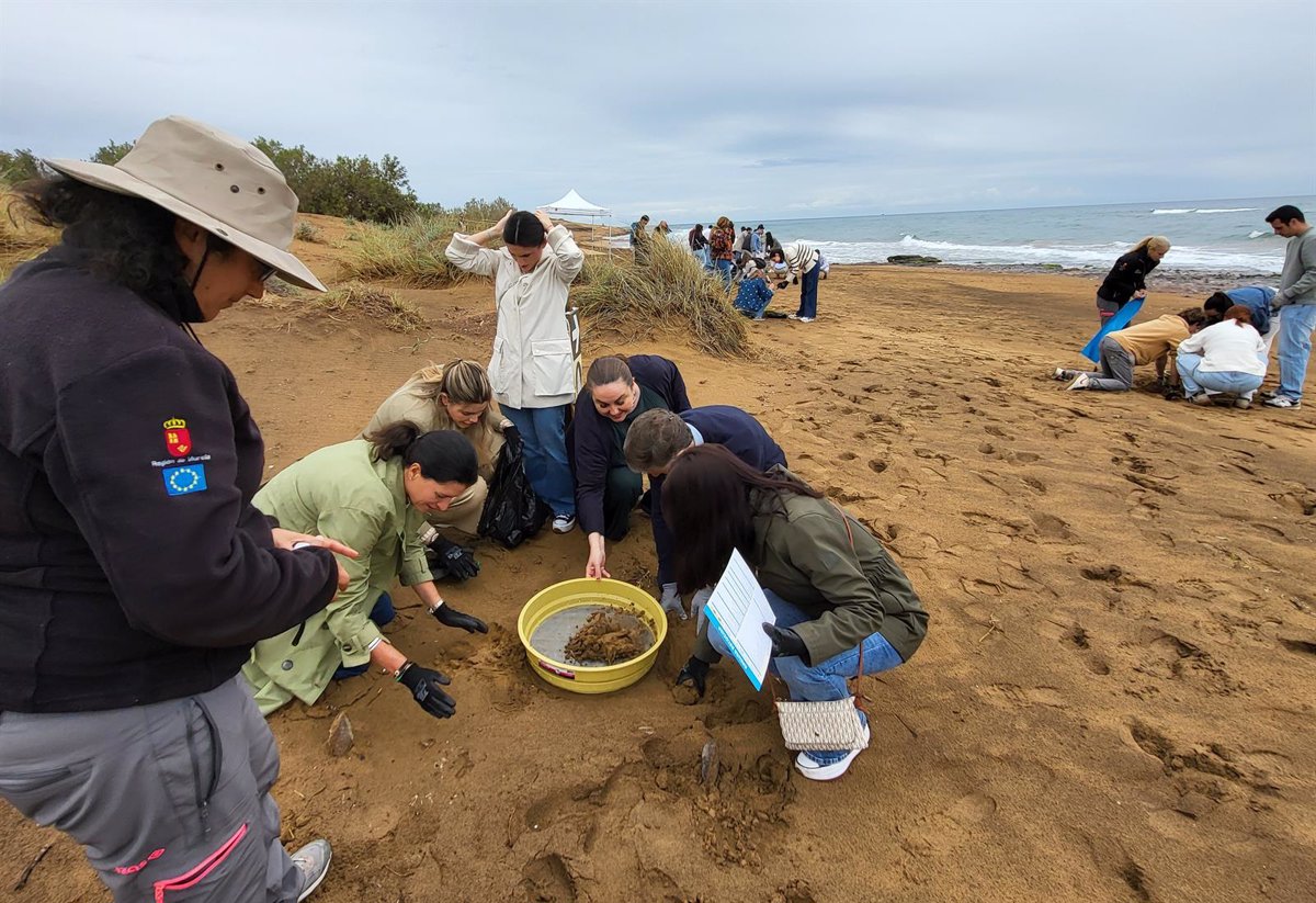 Medio Ambiente desarrolla con Amefmur una jornada de recogida de residuos en Playa Larga de Calblanque