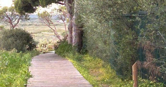 El PSOE destaca el "impulso" del Gobierno al turismo "sostenible" con tres millones para la Costa Occidental de Huelva.