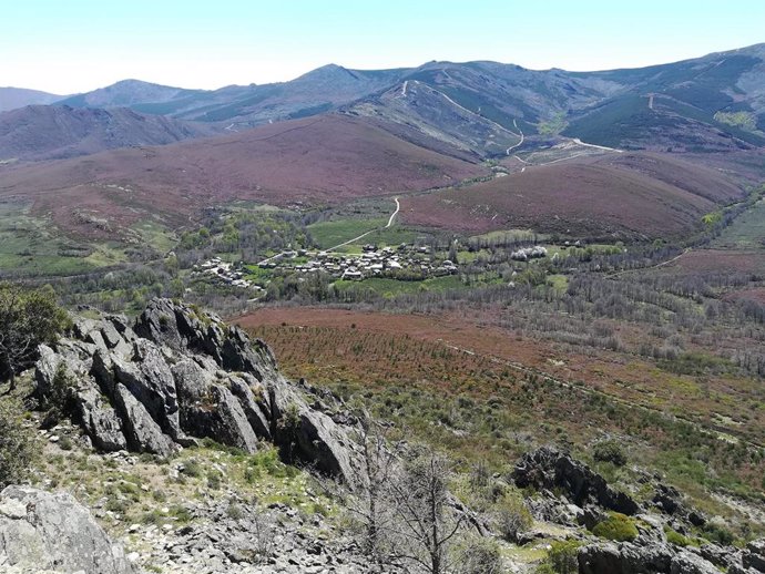 Monte de Valdavido, León.
