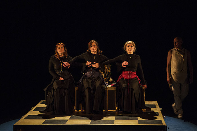 Imatge de 'Maleïdes dames'