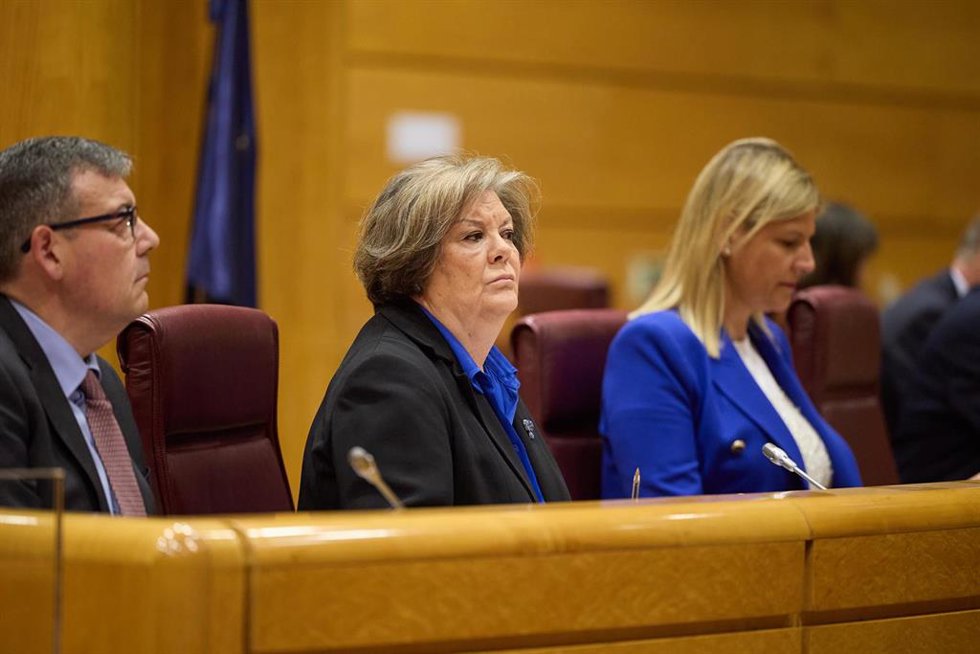 La presidenta del Tribunal de Cuentas, Enriqueta Chicano (c), comparece en la Comisión de Investigación sobre los contratos públicos realizados durante la pandemia de covid-19, en el Senado, a 29 de abril de 2024, en Madrid (España). Chicano ha comparec