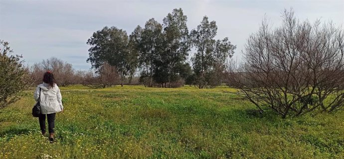 Imagen de un paraje natural del Corredor Verde del Guadiamar