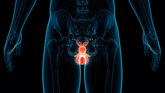 Foto: La SEOM destaca los avances en el cáncer de testículo y recuerda que en el 95% de los casos se consigue la curación