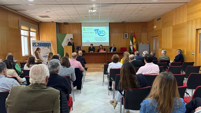Botella (centro, al fondo) interviene en la jornada sobre el Plan Integral de Salud Bucodental de Andalucía.