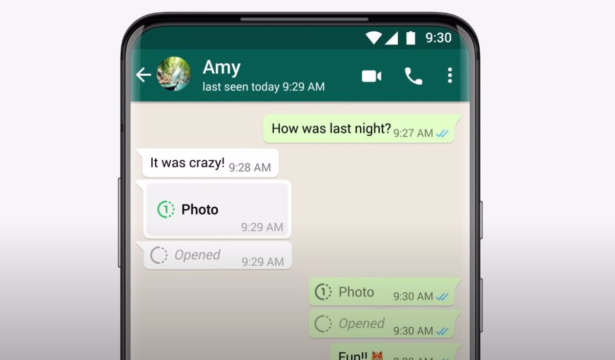 WhatsApp fixes bug preventing video sharing in Android beta.