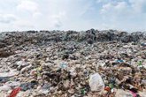 Foto: WWF critica que los países aún no hayan decidido si el tratado global contra el plástico será de obligado cumplimiento